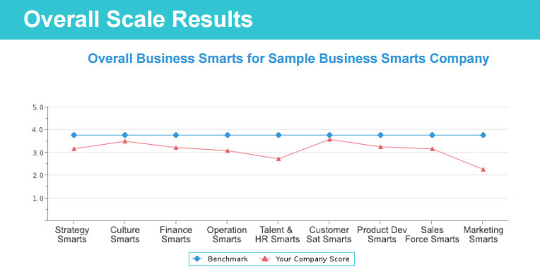 Overall Scales for Business Smarts Profile